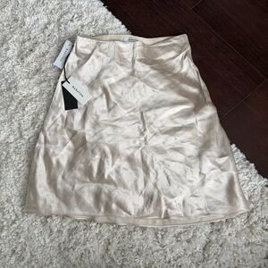 Babaton Mini Slip Skirt — Denude